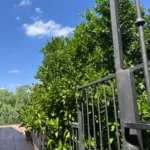 Entrada al apartamento Noguera 4, apartamento rural en Villamiel totalmente equipado
