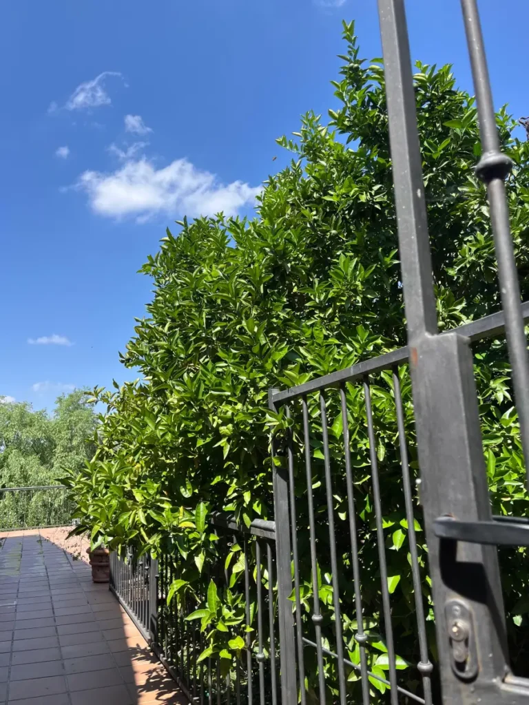 Entrada al apartamento Noguera 4, apartamento rural en Villamiel totalmente equipado