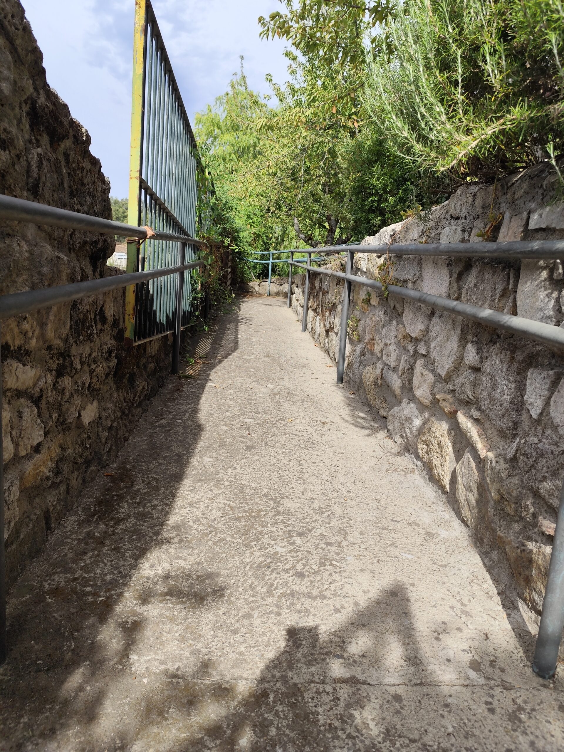 Acceso Movilidad Reducida